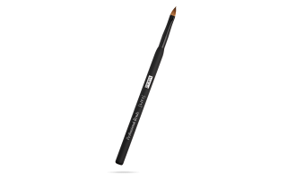 Lip brush